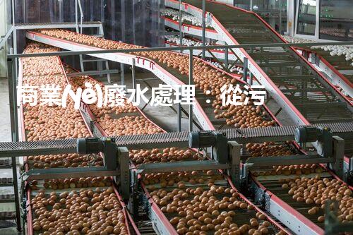 商業(yè)廢水處理：從污染源到清澈流淌，解密行業(yè)的環(huán)保奇跡！